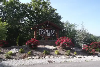 Image de Élu n ° 1 dans les hébergements en chalet à Branson!