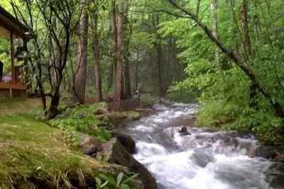 Image de Rushing Waters - À quelques pas du ruisseau!