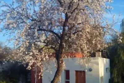 Image de Gîte La Aldea pour 4 personnes