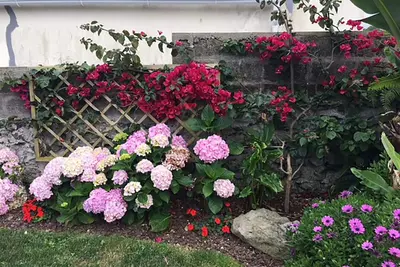 Image de Maria's Haven Deux Chambres