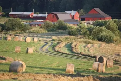 Image de Octobre Ferme Famille Séjour à la ferme