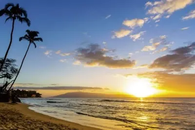 Image de Westin Nanea Ocean Villas, Belles chambres bien aménagées avec 2 chambres