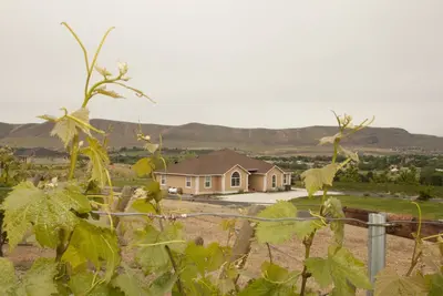 Image de Laliik Iniit North - Le repaire de Red Mountain parmi les vignes.