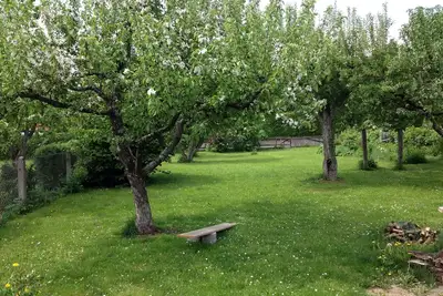 Image de Magnifique appartement au dernier étage, proche de la nature et à proximité de la ville (ouest. Les forêts)