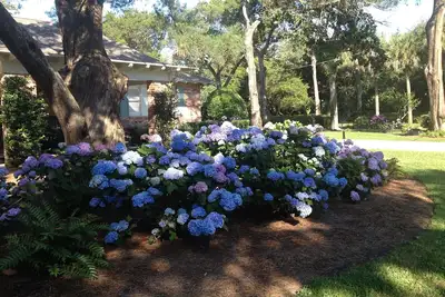 Image de Meilleur Endroit - Seulement 2 Blocs Pour Cloister & Beach Club - Les invités au mariage sont les bienvenus