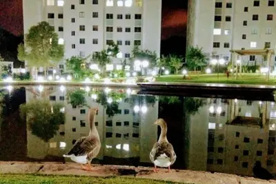 Image de Cantinho da Mari, super confort en club de copropriété! ! !