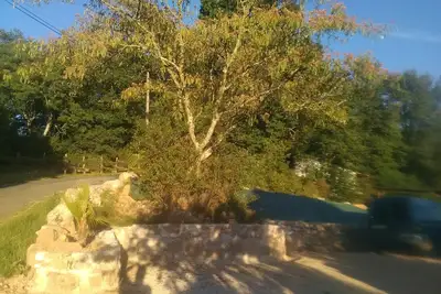 Image de Ferme rénovée à Domme Périgord Noir proche Sarlat