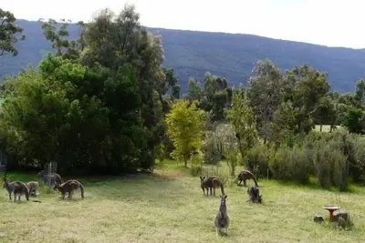 Image de Hébergement parmi la faune… avec des vues!