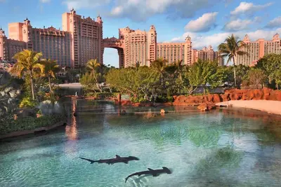 Harborside at Atlantis 1 chambre à coucher avec 4 poignets à Atlantis