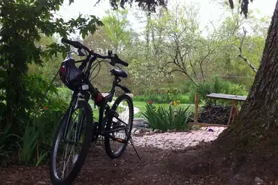 Image de Iris Meadow Cottage au milieu des vignobles de Dordogne