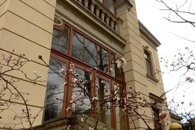 Image de 5 pièces duplex dans une villa historique à Dresde Blasewitz