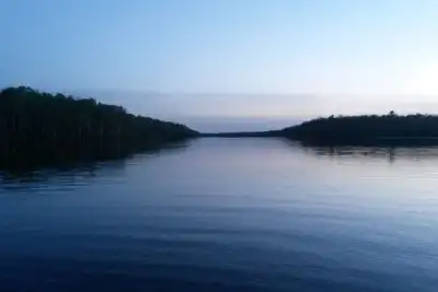 Image de Belle cabine nichée dans les bois. La vie privée et les rives du lac!