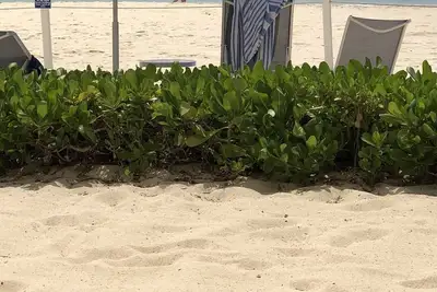 Image de Emplacement En Bord De Mer Sur Seven Mile Beach