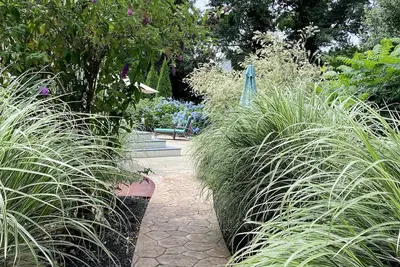 Image de ★ ★ ★ ★ ★ Fabulous Shore Road, près des plages, triez fortement les zones!