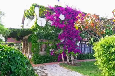 Image de Belle maison à Caños de Meca