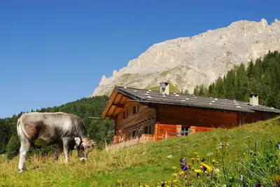 Image de Chalet alpin, chalet, chalet de ski au milieu du domaine skiable, appartement de vacances
