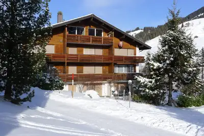 Image de Appartement bien entretenu dans les montagnes suisses (que ce soit Interlaken)