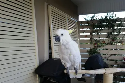 Image de Si vous aimez le Sud, descendez, une chambre à coucher en duplex avec beaucoup de charme.