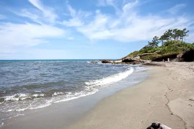 Image de Marine De Bravone: 2 Rez de rez de chaussée, terrasse à 100 m de la plage