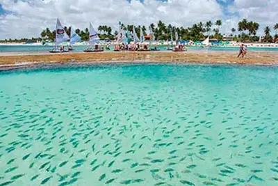 Image de Porto de Galinhas - Appartement meublé - 03 qts - 50mts de la plage