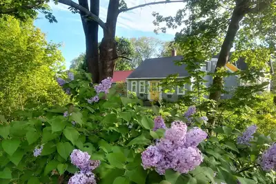 Image de The Perch - Promenade en ville et sur la mer - Locations été / automne hebdomadaires - Str19-17