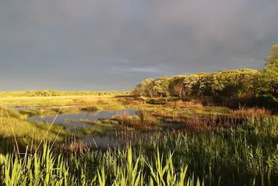 Image de L'air frais et la brise à seulement un demi pâté de maisons de la baie