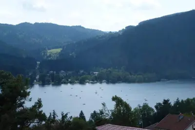 Image de Vue imprenable sur le lac, appartement en duplex dans chalet