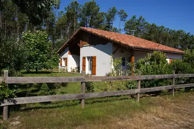 Image de Maison 11 places proche océan et en lisière de la forêt landaise.