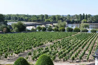 Vacances à Pouilly / Loire vue sur la Loire et les vignes classé 2 étoiles