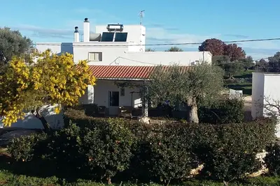 Image de Appartement - Locorotondo