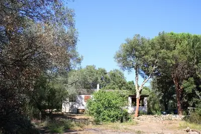 T Rare Maison Dans Ecrin Nature 4 à 6 pers près C-Ville Porto-Vecchio
