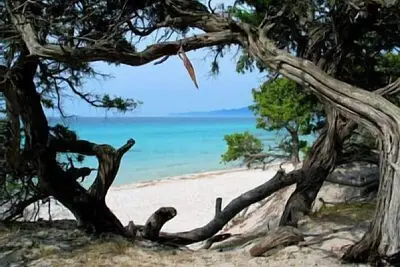 Image de Prox plage Mini Villa ensoleillée au calme en campagne