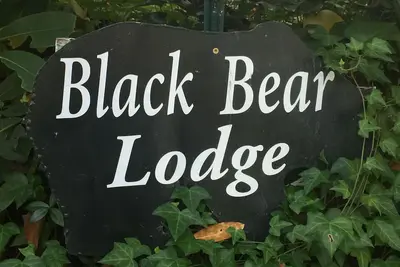Image de Glenn Acres Black Bear Creekside Cottage - Montagnes-pittoresque-calme-relaxant