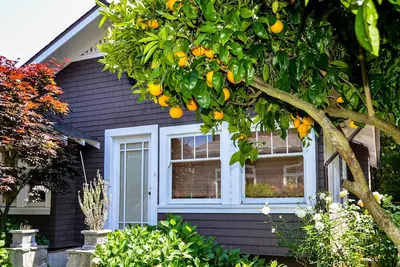 Image de 1 Br Grand Garden Cottage dans le centre-ville de Mill Valley Boyle Park - Oct Special Lire