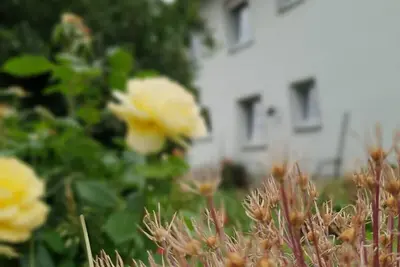 Image de Logements de groupe pour une réunion agréable avec des connaissances, des amis et la famille