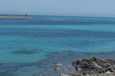 Image de 20 mètres de la mer bel appartement dans résidence avec piscine