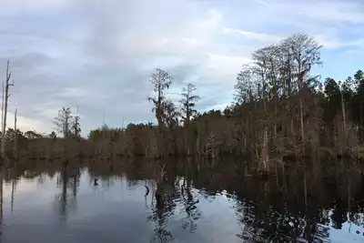Image de Cabine de Blackshear sur le lac