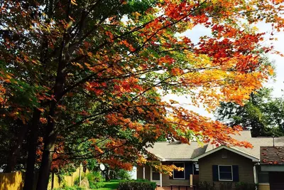 Image de Privé, Cozy Cottage Le Torch Lake!