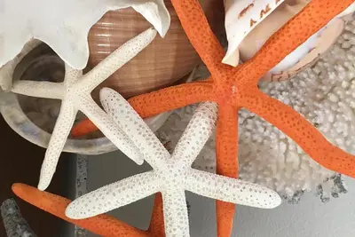 Image de * Ville approuvée Starfish Cottage * maintenant ouvert du 14 au 19 juillet. .