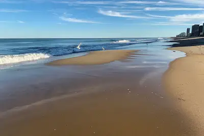 Image de Fantastique Oceanside SeashoreDelight -100 mètres de la plage