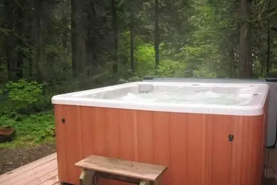 Image de Snow Drift Cabin Hottub Wifi Chiens acceptés
