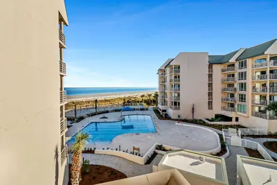 Image de Regardez les dauphins jouer toute la journée!