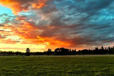 Image de Magnifique Ranch sur la rivière Williamson