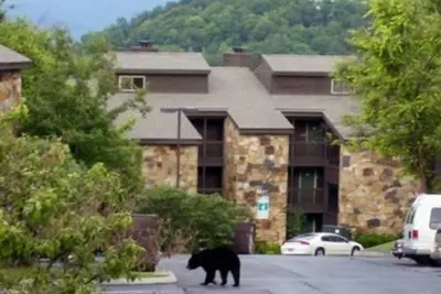 Image de Awesome Mountain Views Sleeps 6 2 bed room 2 bath