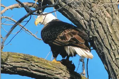 Image de Détendez-vous et profitez de la vue magnifique sur le lac Honeoye