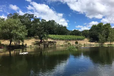 Image de Serene Pied a Terre dans le Wine Country (Tot 695n)