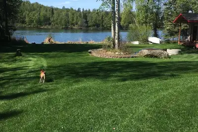 Image de Libellule sur le lac 1, sauna, canoë-kayak, paddle-boards, pêche