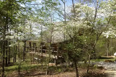 Image de Dogwood Cabin of Deer Lodge Location de chalets Isolés Ozark Mointain Log Cabin
