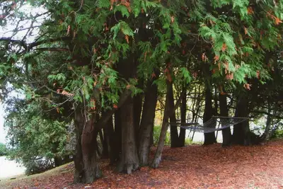 Image de Une retraite paisible dans le comté de Door près de l'eau, boutiques, restaurants et Golf.