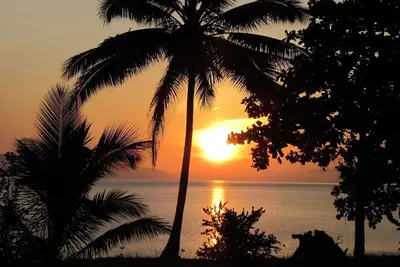 Image de Jungle Retreat une maison sur la plage au milieu de la jungle
